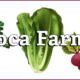 Coca Farms LLC